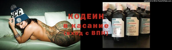 стаф Балахна