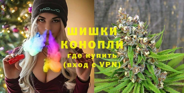 стаф Балахна