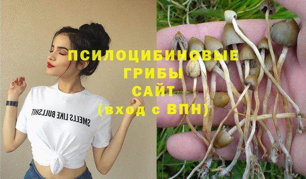 прущие крисы Баксан