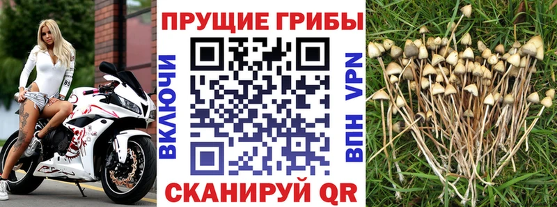 Псилоцибиновые грибы мухоморы  omg ссылка  Голицыно 